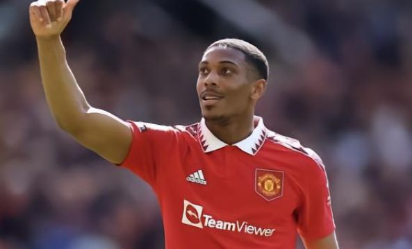 马尔特维斯 马尔特维斯